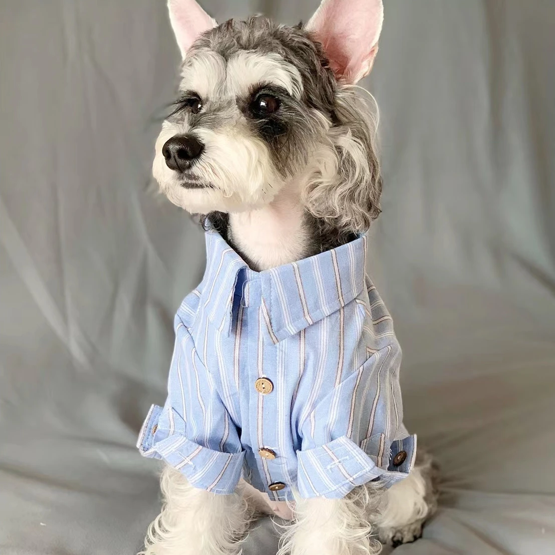 Summer Dog Clothing - 애완 동물 옷, 강아지 고양이, 얇은