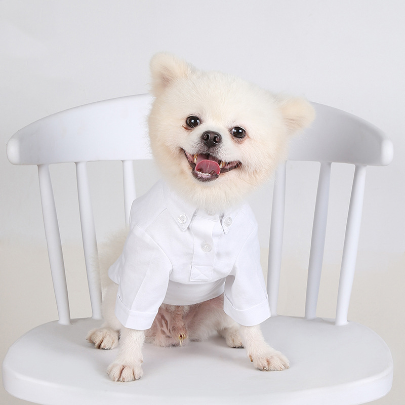 봄과 가을 애완 동물 바닥 셔츠 다목적 슬림 개 옷 부 - Summer Dog Clothing 리뷰 및 가격