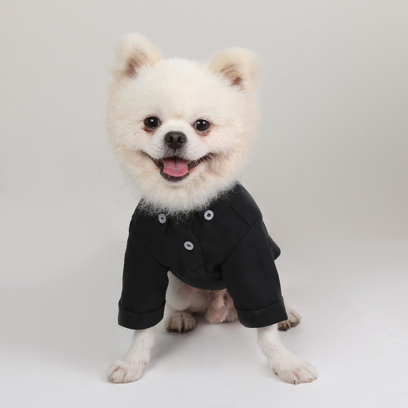 봄과 가을 애완 동물 바닥 셔츠 다목적 슬림 개 옷 부 - Summer Dog Clothing 리뷰 및 가격